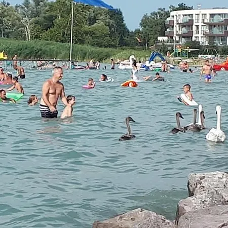 Апартаменты Dolce *